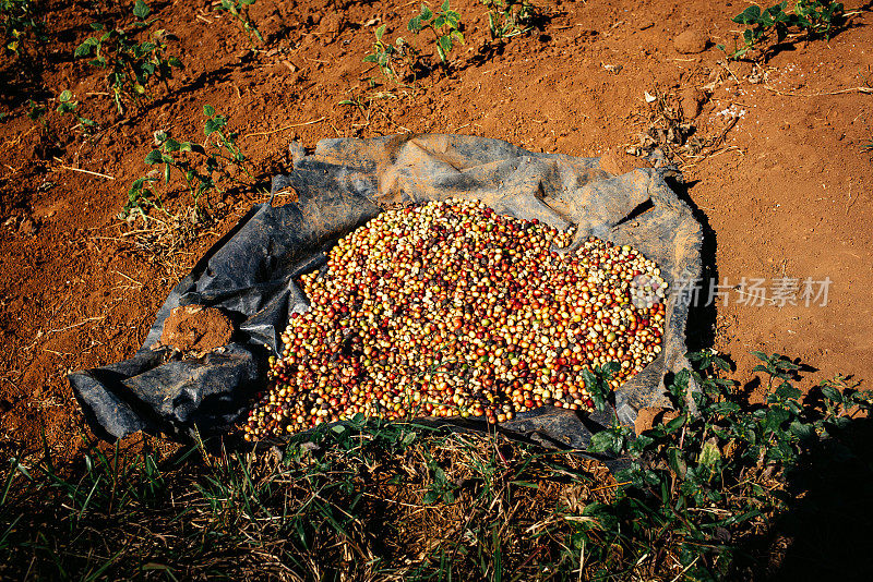 Vinales valley & las Terrazas(古巴)